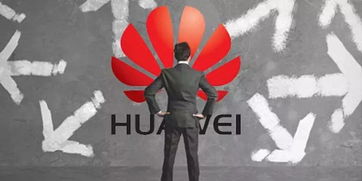 王峰評論馮鑫 等他出來喝酒 科創(chuàng)板首周運(yùn)行平穩(wěn),總市值超5000億元 哪吒之魔童降世 首周票房破7億