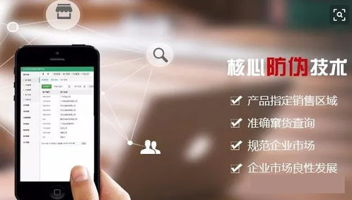 廈門二維碼防偽標簽的軟件設計與制作 技術創(chuàng)新與市場應用